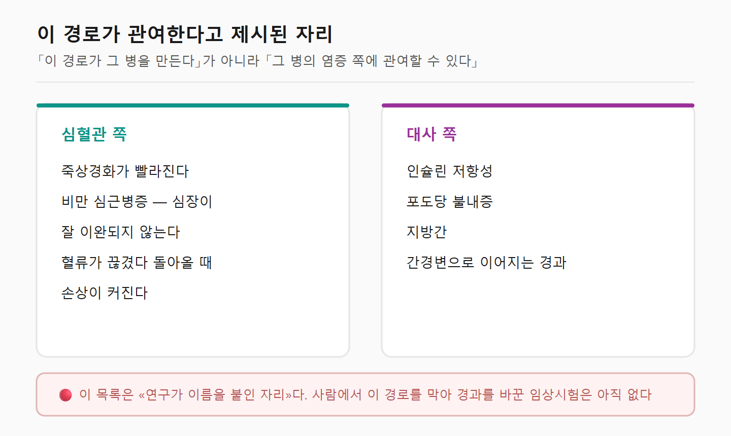 이 경로가 관여한다고 제시된 질환들을 심혈관과 대사 두 갈래로 나눠 정리한 도해