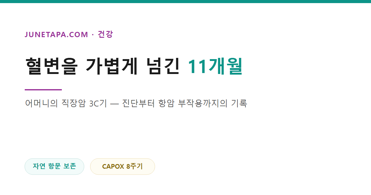 대장암 3기 진단부터 항암 부작용까지 가족이 겪은 1년을 다룬 글