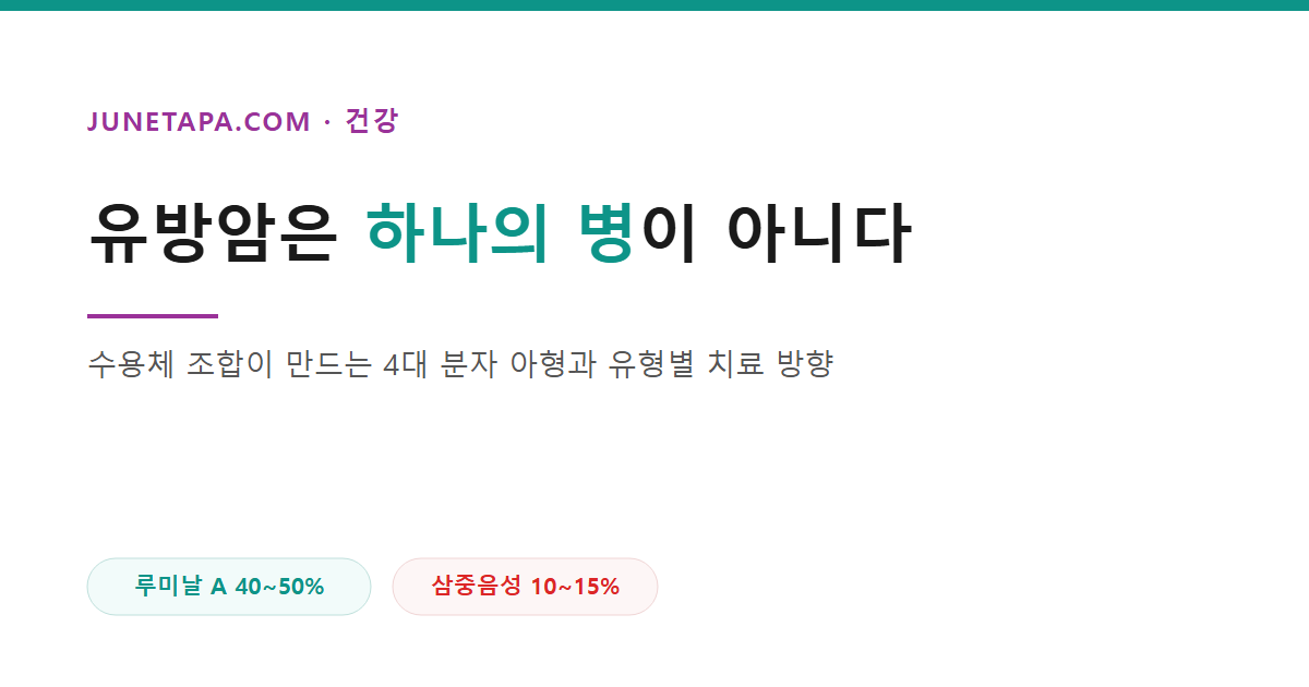 유방암 종류와 HER2·삼중음성을 정리한 글