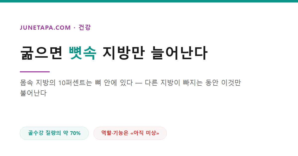 굶으면 다 빠지는데 뼛속 지방만 늘어난다
