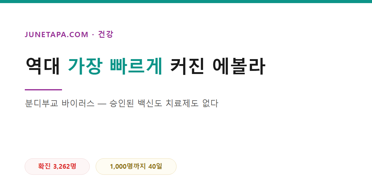 에볼라 분디부교 바이러스 유행 방역 대응