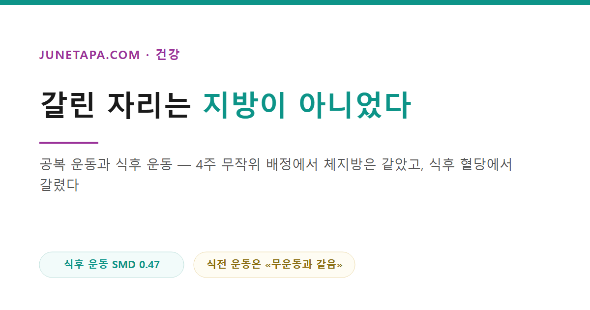 공복 운동과 식후 운동을 비교한 글