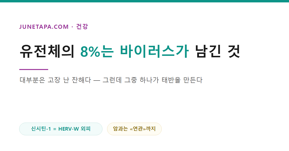 내 유전체의 8퍼센트는 바이러스가 남긴 것