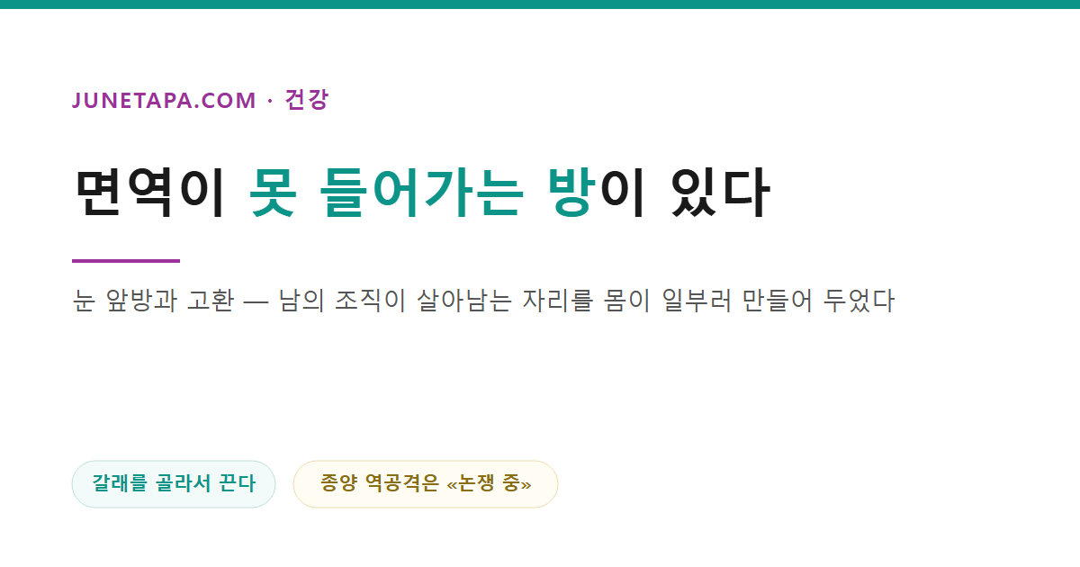 몸에는 면역이 못 들어가는 방이 있다