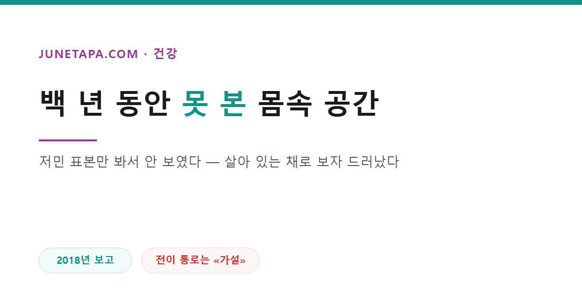 사이질과 암 전이 경로를 다룬 글