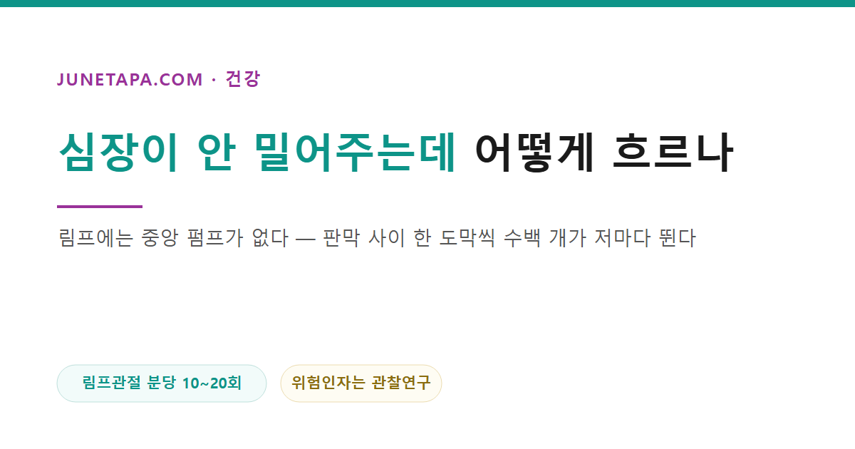 심장이 안 밀어주는데 어떻게 흐르나