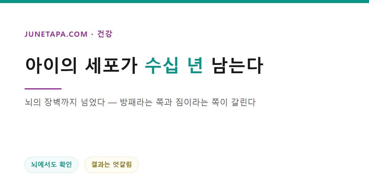 미세키메리즘과 암 위험을 다룬 글