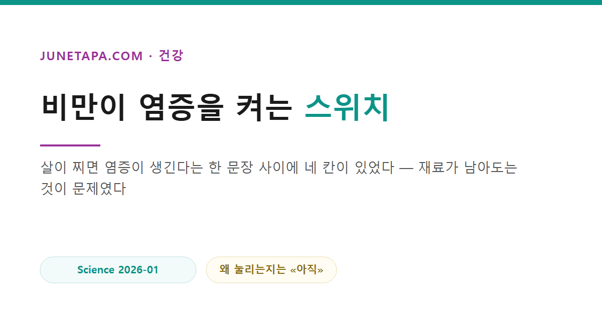비만이 염증을 켜는 스위치를 다룬 글