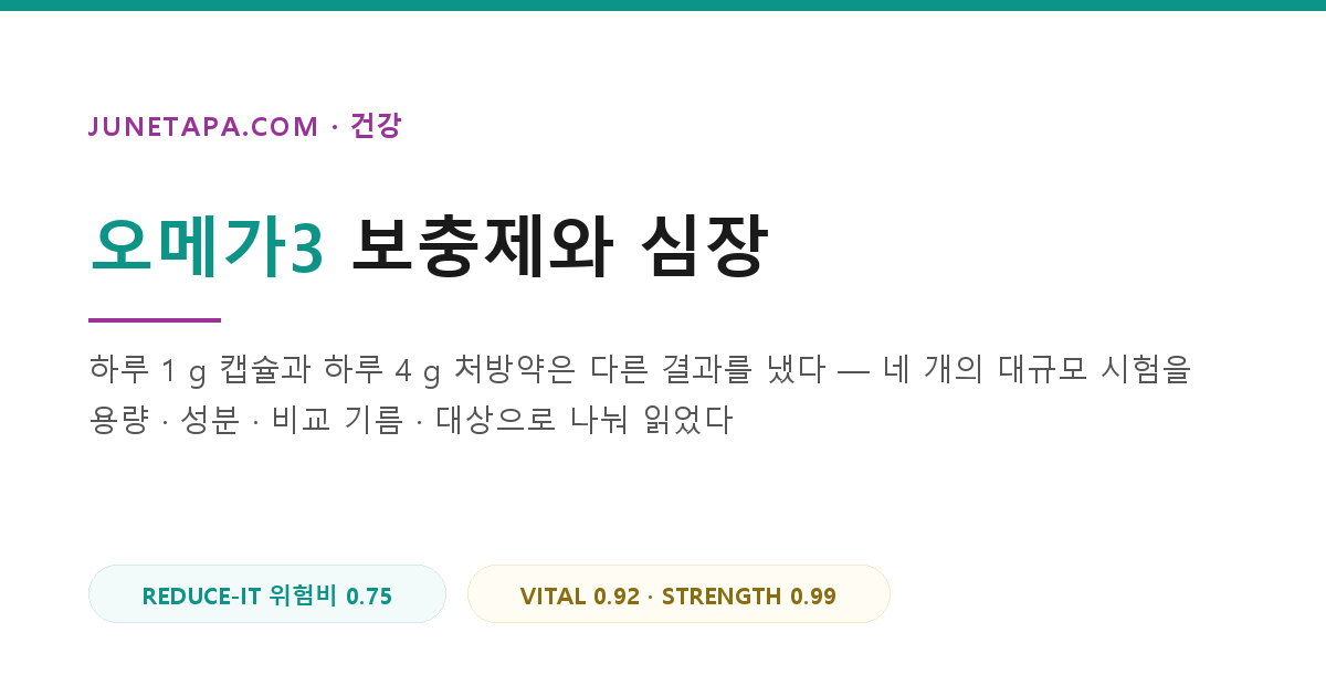 오메가3 보충제와 심장