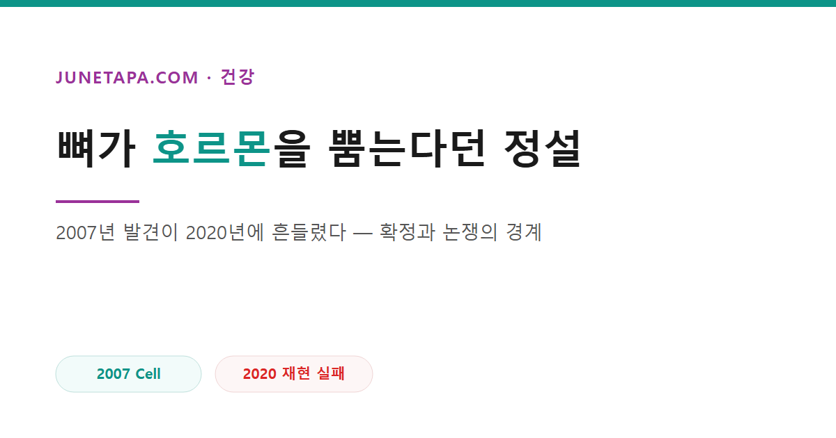 오스테오칼신과 뼈 호르몬 논쟁을 다룬 글