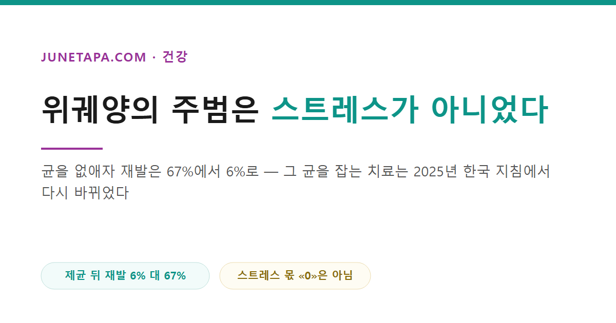 위궤양의 주범은 스트레스가 아니었다