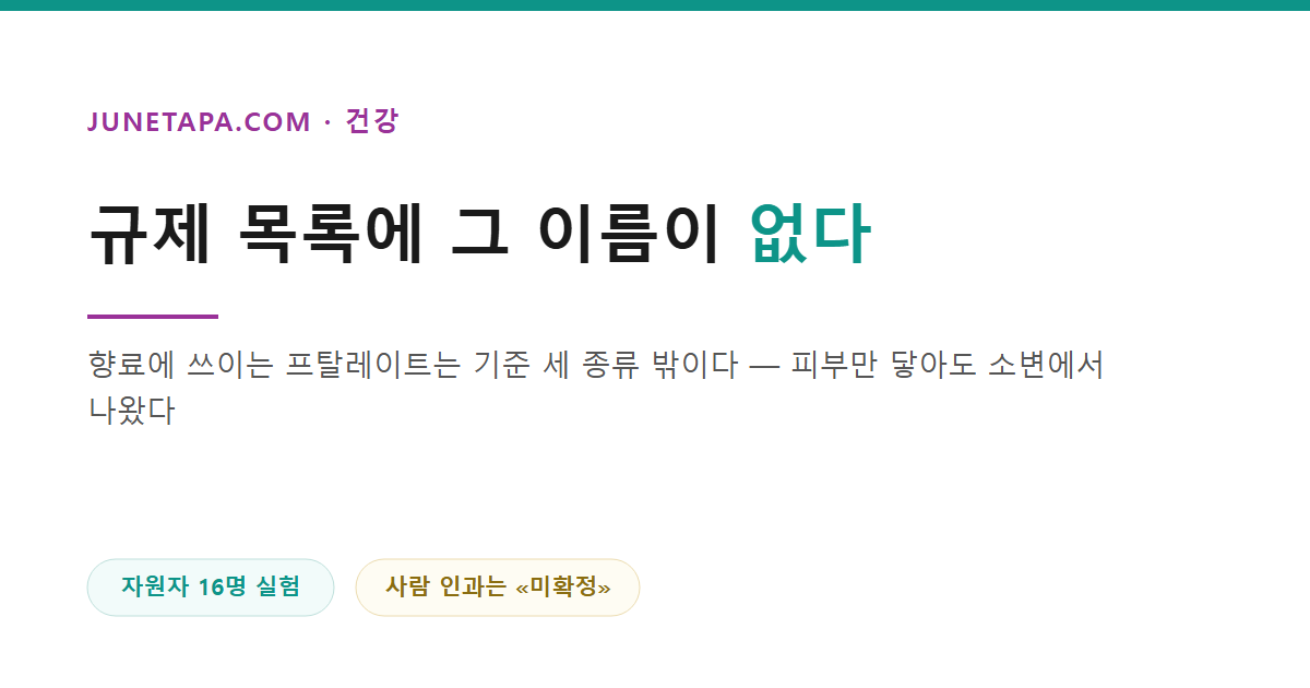 향료라고만 적힌 그 한 줄