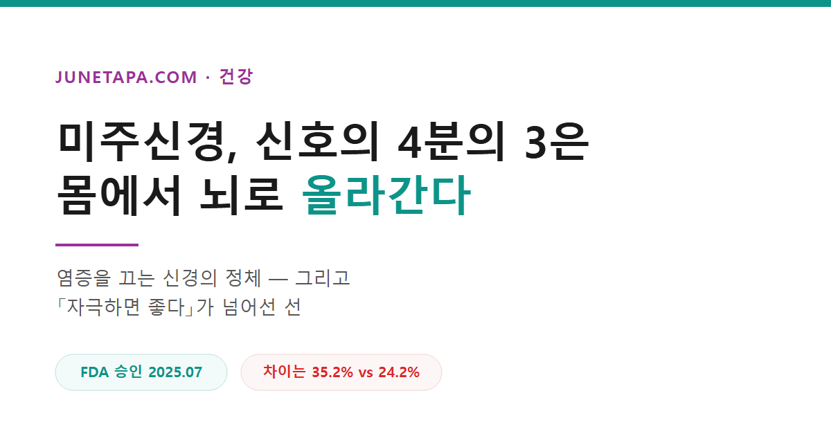 미주신경, 신호의 4분의 3은 뇌로 올라간다